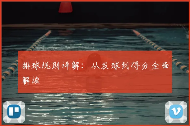 排球规则详解：从发球到得分全面解读
