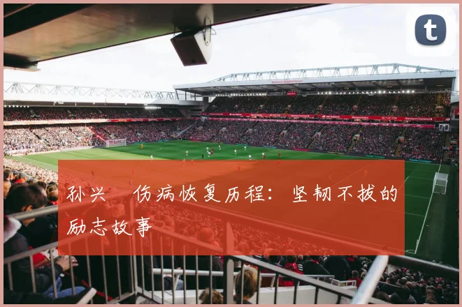 孙兴慜伤病恢复历程:坚韧不拔的励志故事