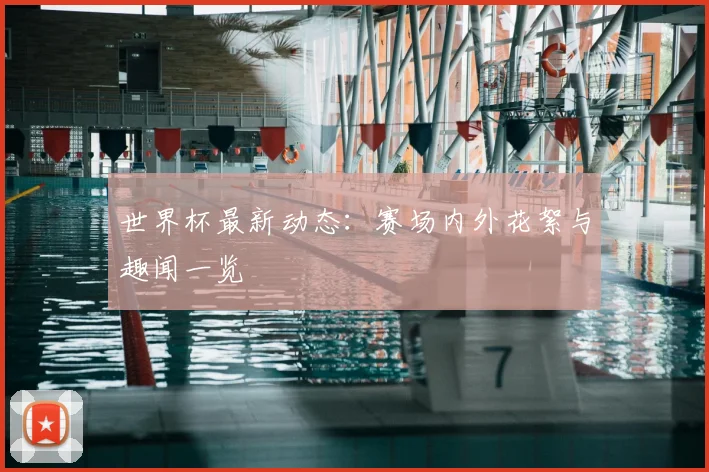 世界杯最新动态:赛场内外花絮与趣闻一览