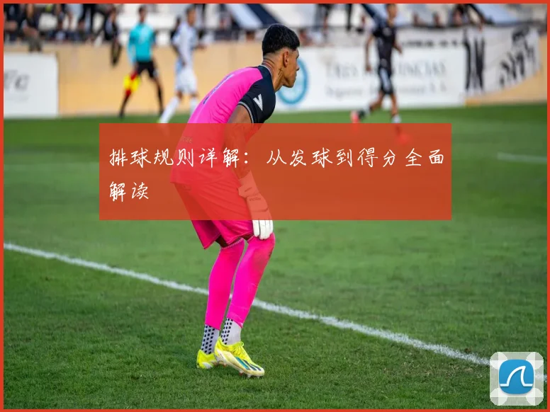 排球规则详解：从发球到得分全面解读